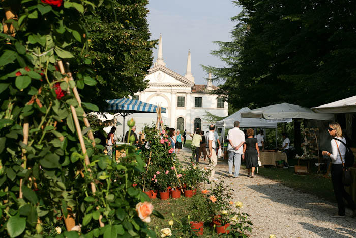 3Parentesi - Vanzo Floreale