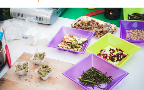 3Parentesi - Tauro Essiccatori