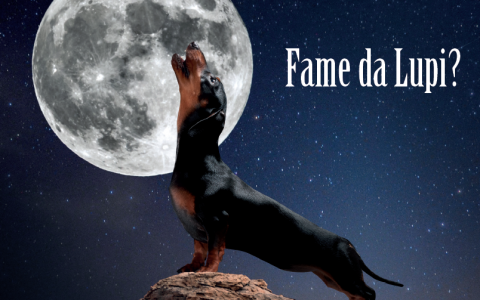 3Parentesi - Dorado Exclusion