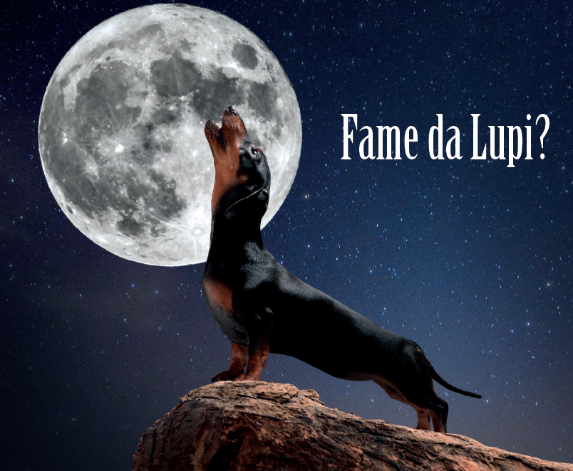 3Parentesi - Dorado Exclusion