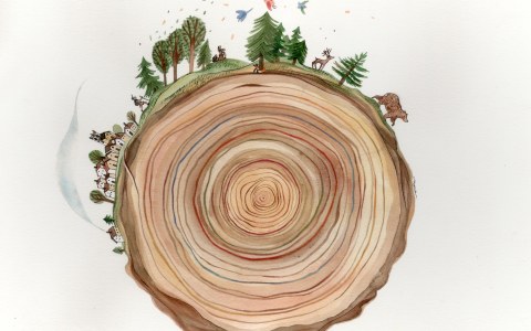 3Parentesi - ORME Festival