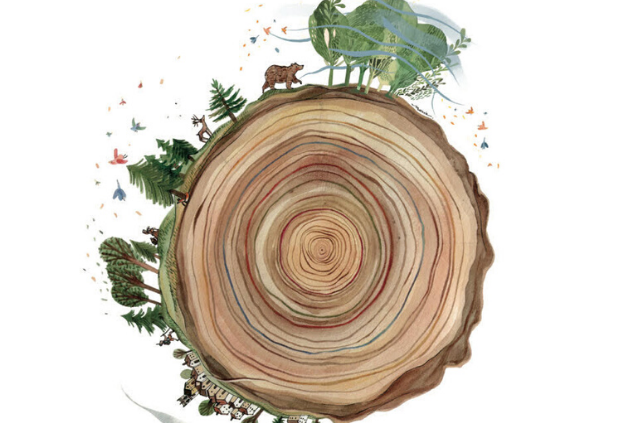 3Parentesi - ORME Festival