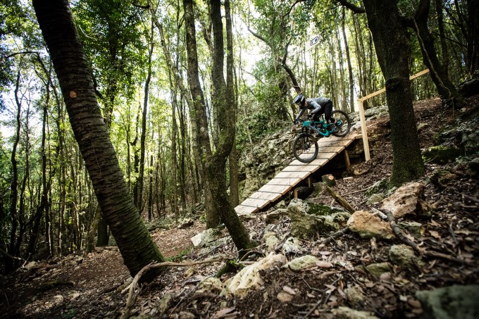 Crank-Line-Ch.Bortels_2