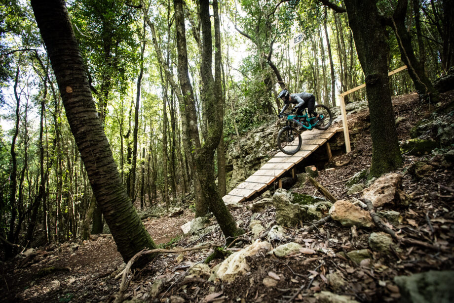 Crank-Line-Ch.Bortels_2